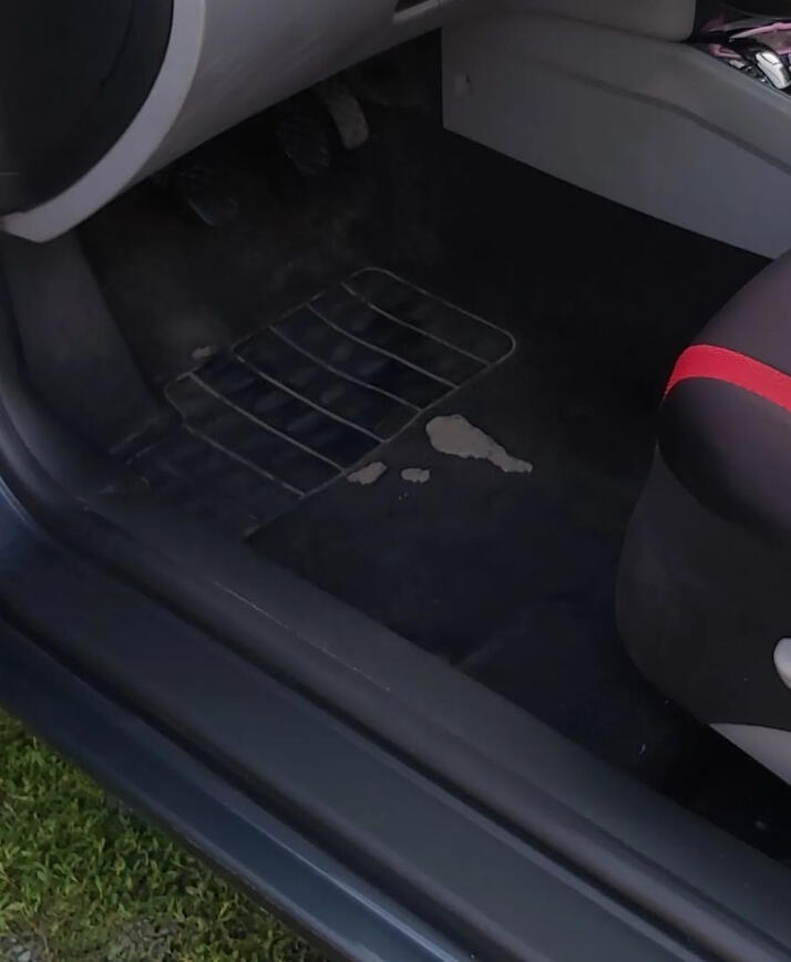 čištění koberce a nástupních plastů PO